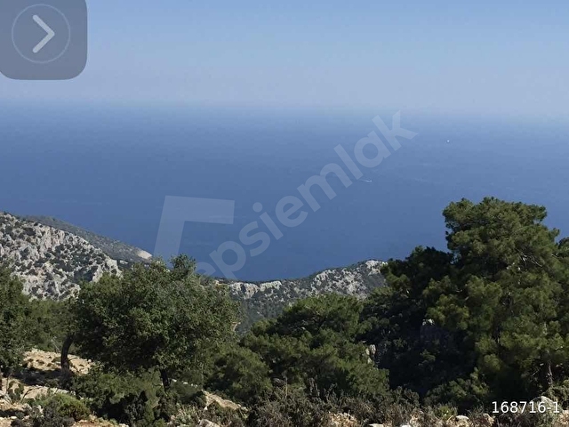 HOME GAYRİMENKUL DEN FIRSAT FETHİYE SEYDİKEMER DE 3797M2 TARLA - Görsel 22