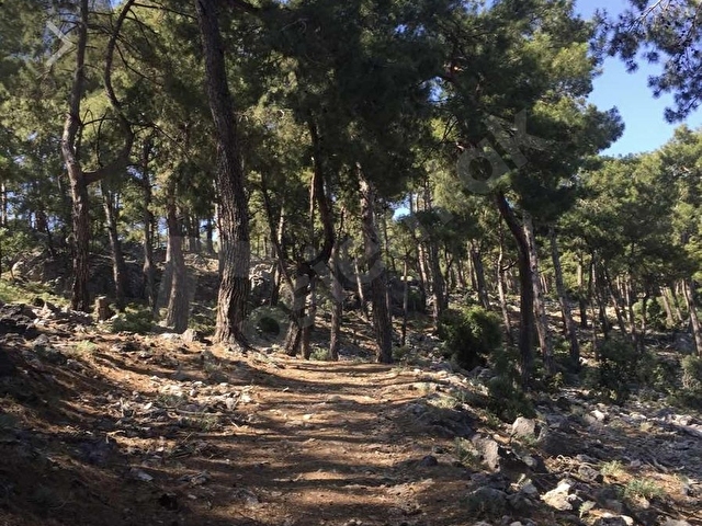 HOME GAYRİMENKUL DEN FIRSAT FETHİYE SEYDİKEMER DE 3797M2 TARLA - Görsel 25