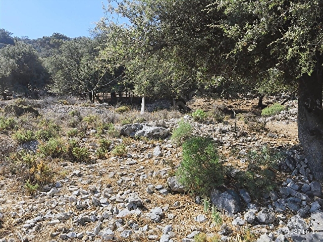 HOME GAYRİMENKUL DEN FIRSAT FETHİYE SEYDİKEMER DE 3797M2 TARLA - Görsel 4