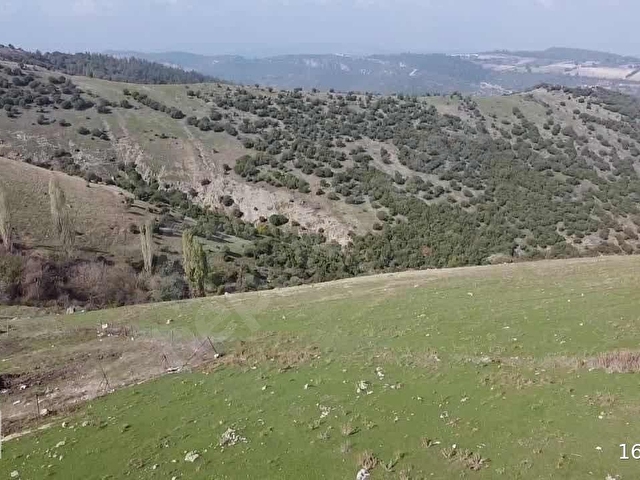 ALTIEYLÜL BOZEN MAHALLESİNDE SATILIK HAYVAN SAYASI KURULU ARSA - Görsel 9