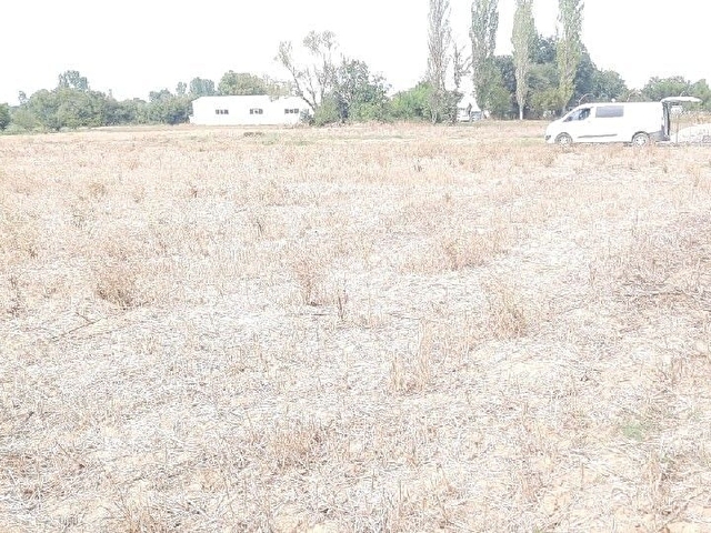YAYLACIK TAPU ÜRÜNLÜDE KİRALIK 800 M² - Görsel 7