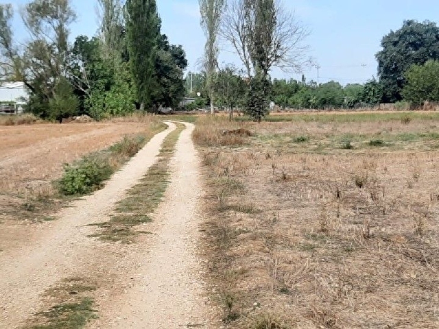 YAYLACIK TAPU ÜRÜNLÜDE KİRALIK 800 M² - Görsel 15