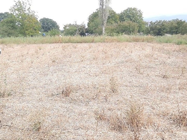 YAYLACIK TAPU ÜRÜNLÜDE KİRALIK 800 M² - Görsel 19