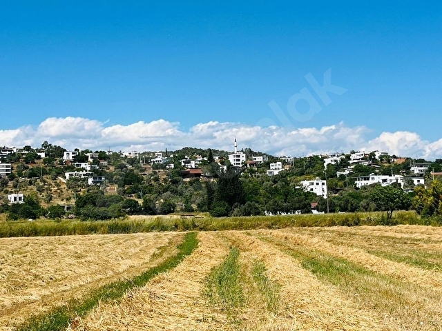 BODRUM TEPECİK KAROAVA DA KELEPİR SATILIK TARLA - Görsel 19