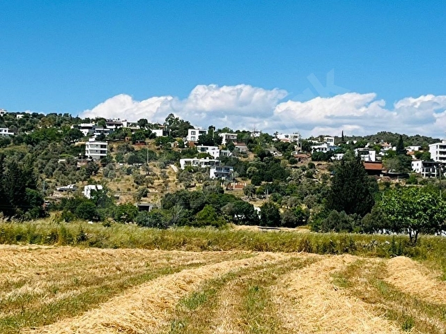 BODRUM TEPECİK KAROAVA DA KELEPİR SATILIK TARLA