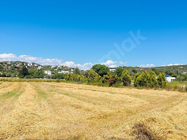 BODRUM TEPECİK KAROAVA DA KELEPİR SATILIK TARLA - Görsel 15