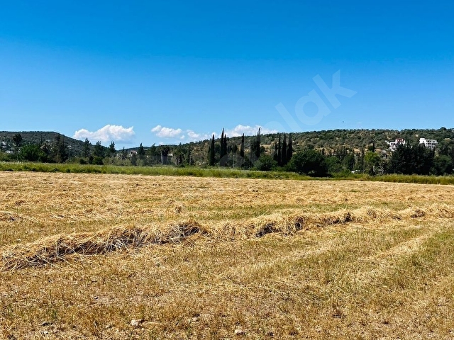 BODRUM TEPECİK KAROAVA DA KELEPİR SATILIK TARLA - Görsel 11