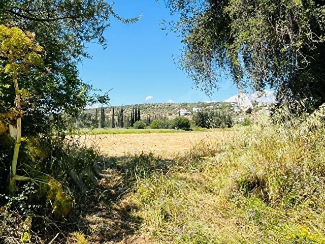 BODRUM TEPECİK KAROAVA DA KELEPİR SATILIK TARLA - Görsel 21