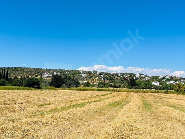 BODRUM TEPECİK KAROAVA DA KELEPİR SATILIK TARLA - Görsel 9