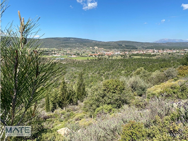 Urla Barbaros Köyünde 398 M2 Arsa İçinde Satılık Taş Villa - Görsel 3