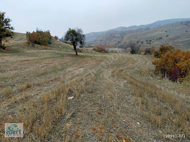 AMASYA SULUOVA İLÇESİ BOYALI KÖYÜNDE SATILIK 12491 M2 BAĞ - Görsel 23
