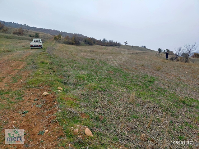 AMASYA SULUOVA İLÇESİ BOYALI KÖYÜNDE SATILIK 12491 M2 BAĞ - Görsel 30