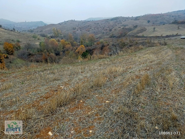 AMASYA SULUOVA İLÇESİ BOYALI KÖYÜNDE SATILIK 12491 M2 BAĞ - Görsel 26