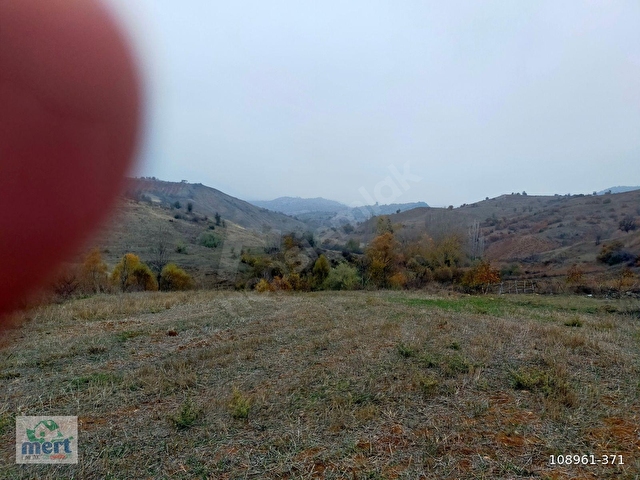 AMASYA SULUOVA İLÇESİ BOYALI KÖYÜNDE SATILIK 12491 M2 BAĞ - Görsel 4