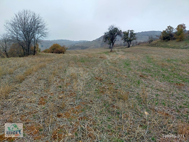 AMASYA SULUOVA İLÇESİ BOYALI KÖYÜNDE SATILIK 12491 M2 BAĞ - Görsel 17
