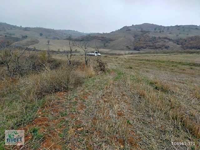 AMASYA SULUOVA İLÇESİ BOYALI KÖYÜNDE SATILIK 12491 M2 BAĞ - Görsel 8