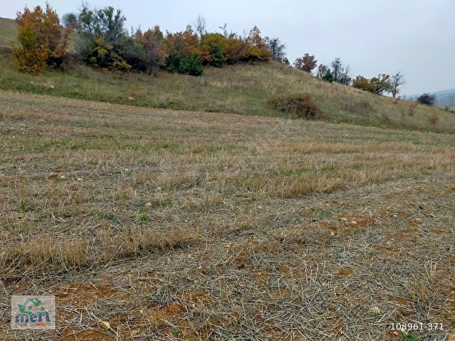 AMASYA SULUOVA İLÇESİ BOYALI KÖYÜNDE SATILIK 12491 M2 BAĞ - Görsel 22