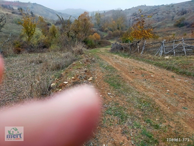 AMASYA SULUOVA İLÇESİ BOYALI KÖYÜNDE SATILIK 12491 M2 BAĞ - Görsel 28