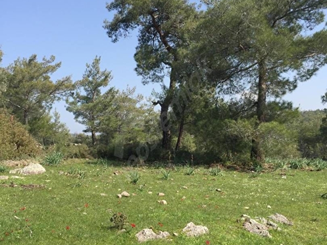 ACİL BODRUM MUMCULAR - Görsel 3