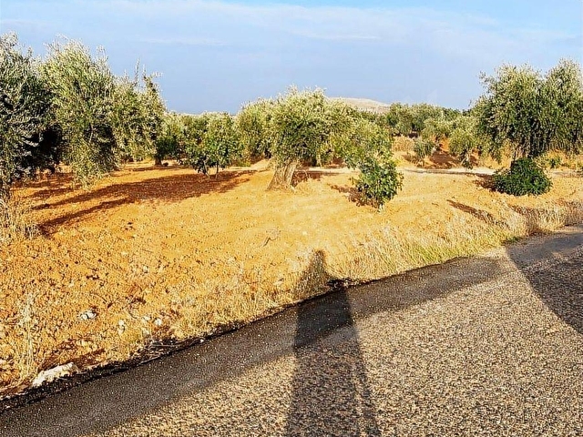 GAZİANTEP NİZİP YOLUNDA MERKEZİ KONUMDA FISTIK ARSASI - Görsel 4