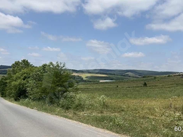 Sakarya Kaynarca Ömerağada Satılık İmarlı Arsalar - Görsel 5