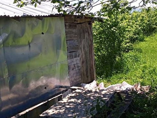 Ordu Ünye Pelitliyatak’ta Bahçe Evli, Düz Konumlu Satılık Fındık Arazisi – 7.164 m² - Görsel 4