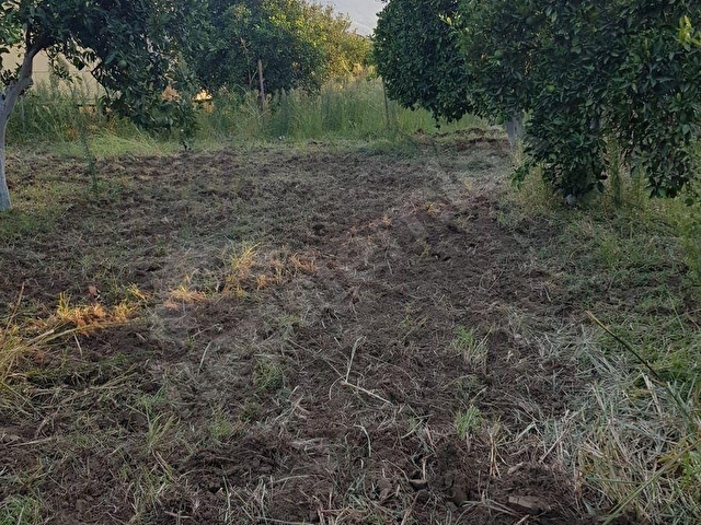 MÜJGAN EMLAKTAN MUĞLA KÖYCEĞİZ DÖĞÜŞBELEN MH DE 532M2 BAHÇE - Görsel 2