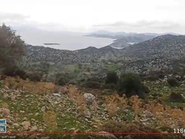 Marmaris Taşlıca köyünde Deniz manzaralı Yatrıma uygun TARLA