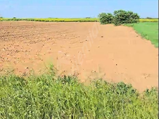 5413 M2 EDİRNE LALAPAŞA ÇÖMLEKAKPINAR KÖYÜ SATILIK TARLA - Görsel 13