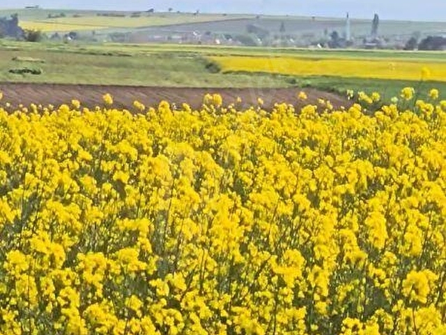 5413 M2 EDİRNE LALAPAŞA ÇÖMLEKAKPINAR KÖYÜ SATILIK TARLA - Görsel 22