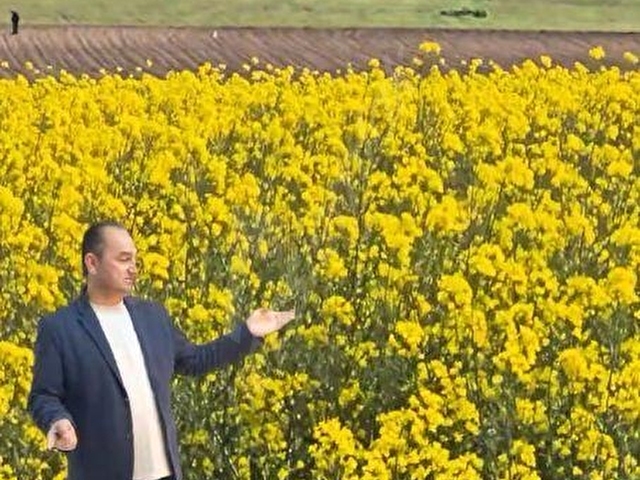 5413 M2 EDİRNE LALAPAŞA ÇÖMLEKAKPINAR KÖYÜ SATILIK TARLA - Görsel 7