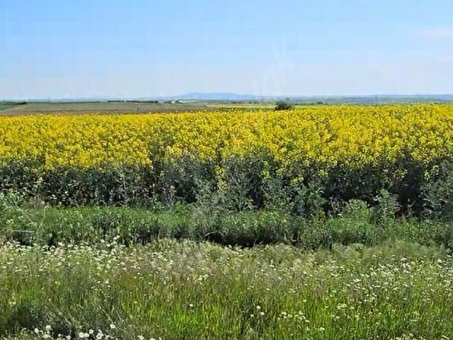 5413 M2 EDİRNE LALAPAŞA ÇÖMLEKAKPINAR KÖYÜ SATILIK TARLA - Görsel 29