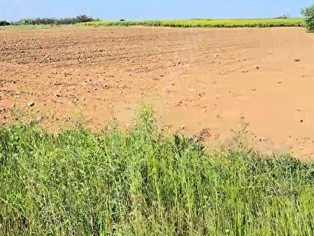 5413 M2 EDİRNE LALAPAŞA ÇÖMLEKAKPINAR KÖYÜ SATILIK TARLA - Görsel 12