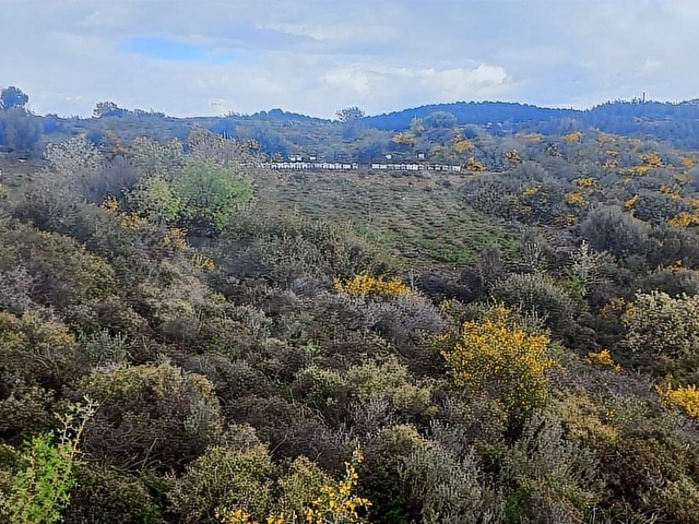 Urla Bademler de Yatırıma Uygun Satılık 24200 m2. Tarla - Görsel 4