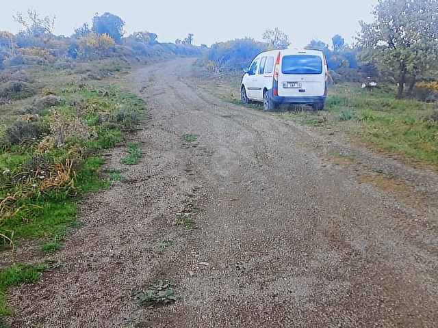 Urla Bademler de Yatırıma Uygun Satılık 24200 m2. Tarla - Görsel 8