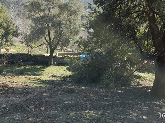ÇAMKÖYDE İMARLI ARSA - Görsel 11