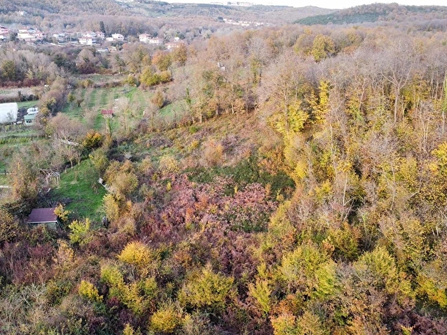 Şile Kızılcaköyde Köy Kenarı Doğa Manzaralı Satılık Bahçe - Görsel 16