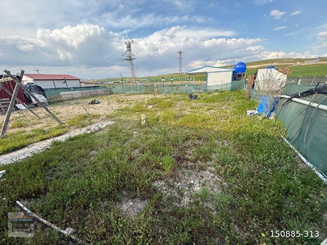 HAZIR KURULU DÜZE 550M2 HOBİ BAHÇEMİZ - Görsel 2