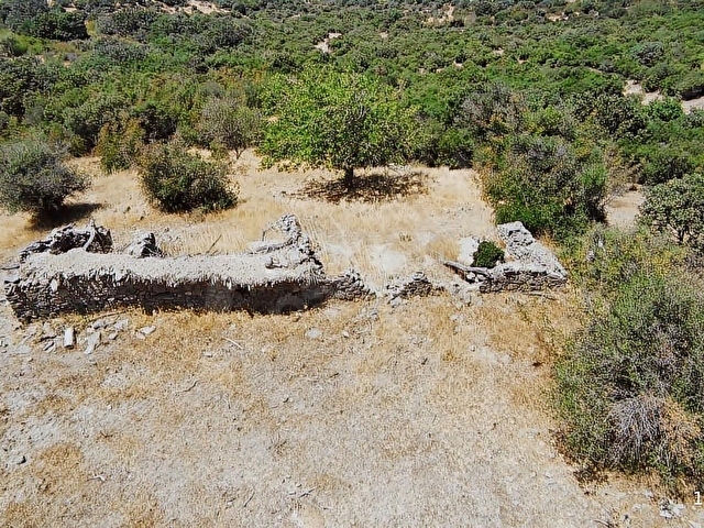 EZİNE KÖSELER KÖYÜNDE 860 m² KIŞLA YERİ - Görsel 25
