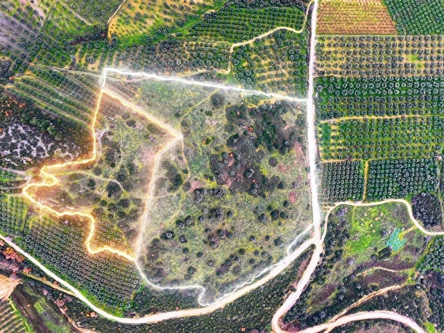 İZNİK ÖMERLİDE ÇİFT YOLA CEPHELİ, KÖŞE, GÖL MANZARALI MÜSTAKİL TARLA