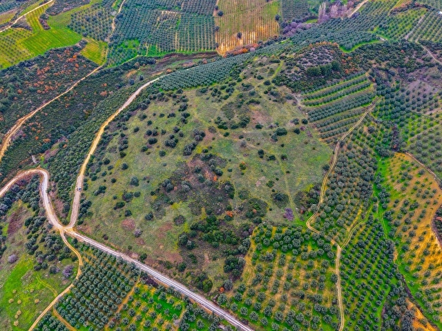 İZNİK ÖMERLİDE ÇİFT YOLA CEPHELİ, KÖŞE, GÖL MANZARALI MÜSTAKİL TARLA - Görsel 25
