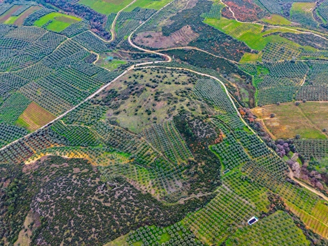 İZNİK ÖMERLİDE ÇİFT YOLA CEPHELİ, KÖŞE, GÖL MANZARALI MÜSTAKİL TARLA - Görsel 13