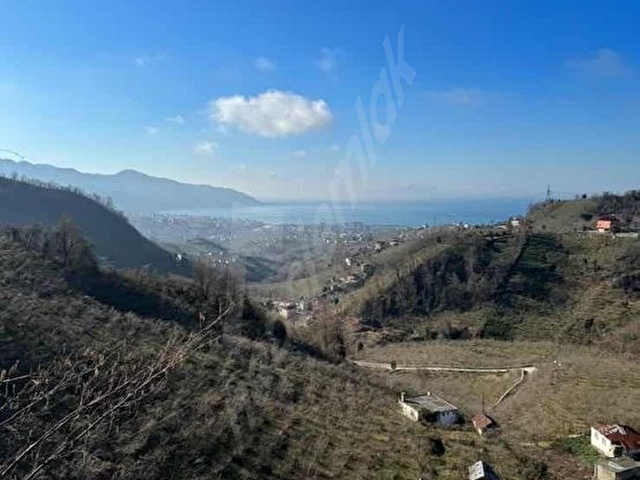 ESPİYE İBRAHIMŞIHKÖYÜ ŞEHRE 10DK MESAFE FULL DENİZ MANZARASI - Görsel 15