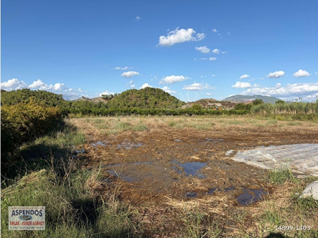 Ortaca Yeşilyurtta 3900m2 satılık arsa - Görsel 9