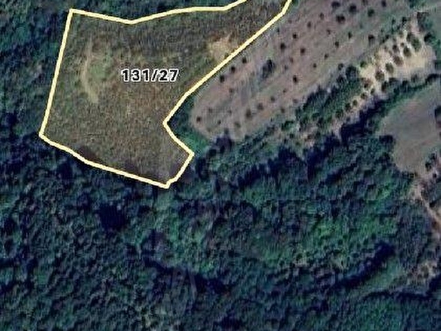 GEBZE AHATLI KÖYÜNDE SATILIK 21 DÖNÜM TARLA.