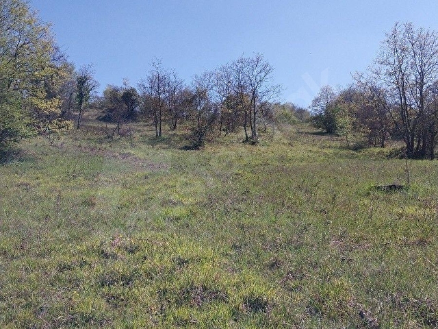 GEBZE AHATLI KÖYÜNDE SATILIK 21 DÖNÜM TARLA. - Görsel 16