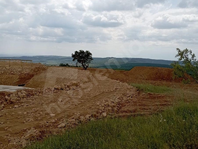 EDİRNE KESAN SULUCA KÖYÜ 135.000 M2 CEVİZLİK BADEMLİK YATIRIMLIK - Görsel 5