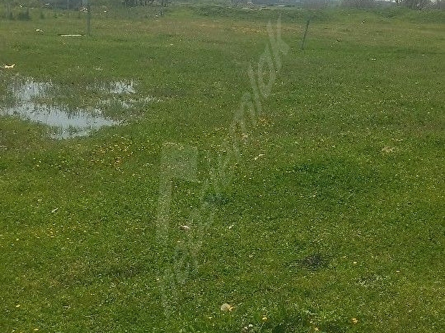 VELİMESE DE LOKASYONLU ARSA - Görsel 7