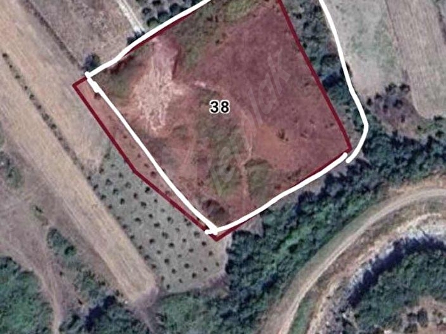 Mustafakemalpaşa Karaoğlanda Yatırımlık 5600m² Tarla - Görsel 2
