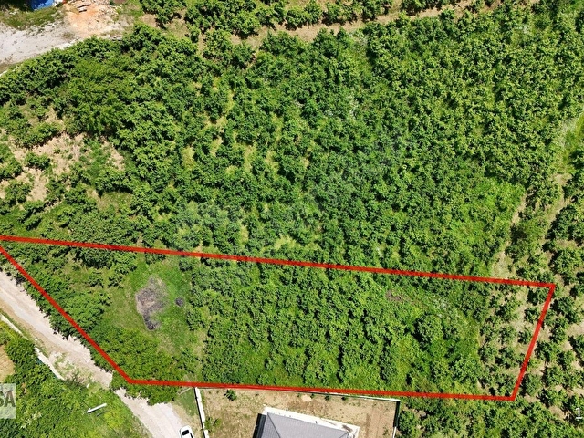 KW METSADAN FULL DÜZCE MANZARALI SATILIK ARSA - Görsel 5